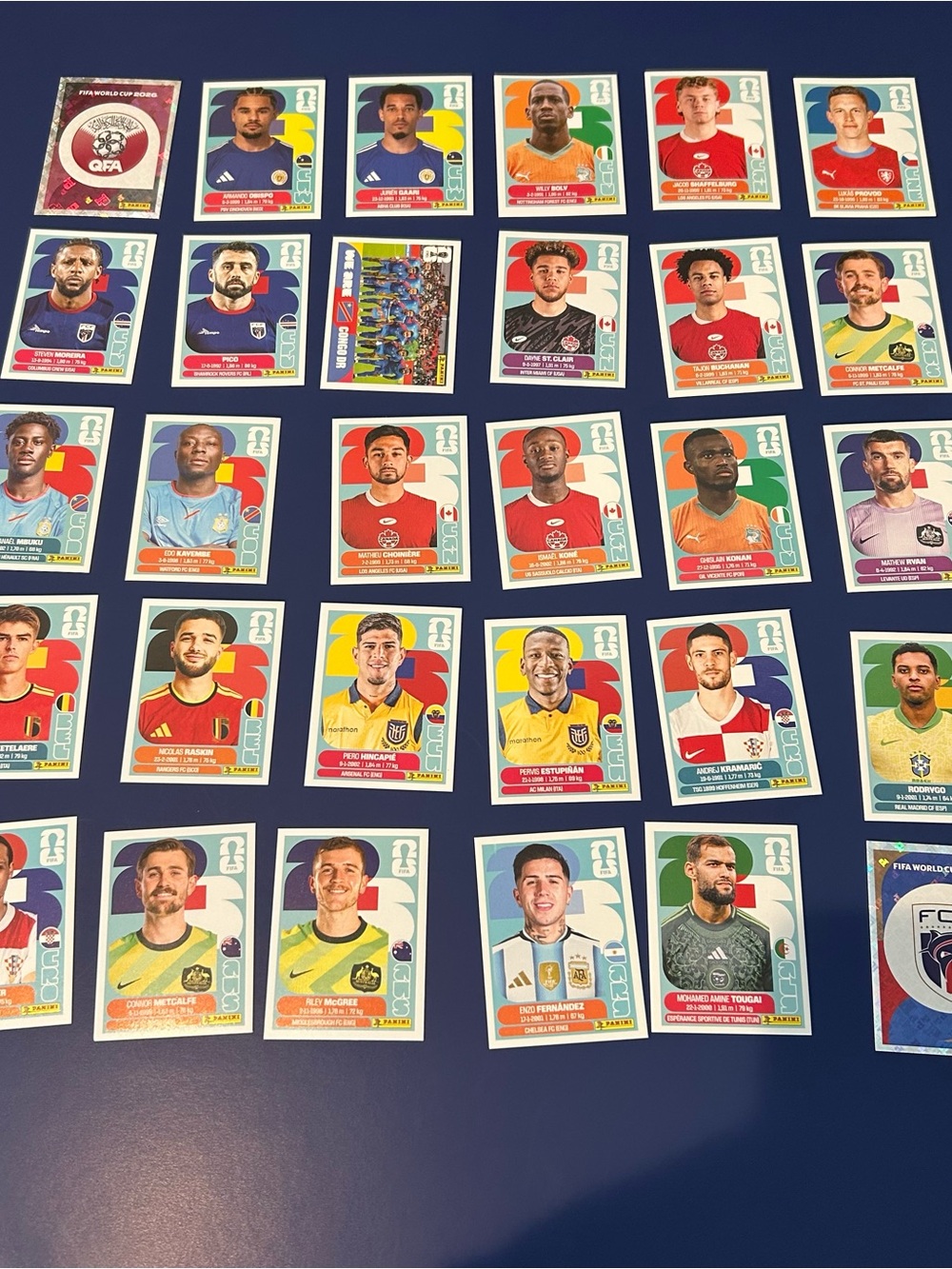 Panini Multicolor Football Sticker Collection on Navy